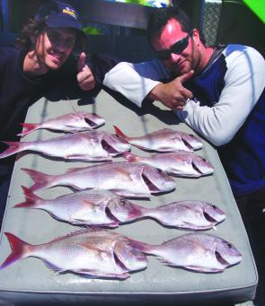 These snapper were caught wide of Wedding Cake Island, off Coogee.
